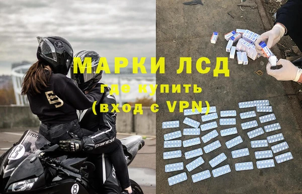 ГАЛЛЮЦИНОГЕННЫЕ ГРИБЫ Костерёво