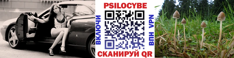 Псилоцибиновые грибы ЛСД Тимашёвск